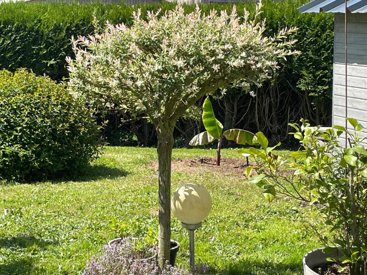 Bed and Breakfast Le Doux Refuge Esquay-sur-Seulles Esterno foto